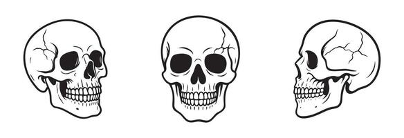 Human Skulls set in different angles isolated on white background, graphic illustration in black outline. concept of anatomy, human bone structure, science, Halloween decor, design element, sketch vector