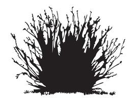 Black silhouette of bush with intricate branches isolated on white background, graphic illustration. concept of nature, plant, shrub, icon, logo, design element. vector