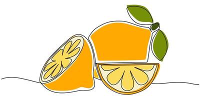 Stylized orange fruit with slices drawn in one line minimal style. Bright citrus illustration perfect for summer, healthy food, packaging, or organic product design. vector