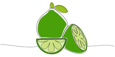 Stylized lime fruit with slices drawn in one line minimal style. Bright citrus illustration perfect for summer, healthy food, packaging, or organic product design. vector