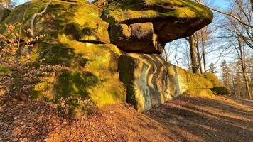 A serene and tranquil view showcasing a mosscovered rock formation, which is surrounded by lush trees at sunset photo