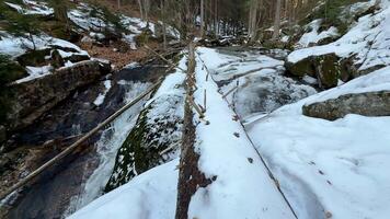 A tranquil and serene winter scene showcasing a snowcovered tree bridge that gracefully spans a flowing stream photo