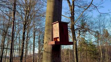 A charming, rustic birdhouse beautifully attached to a tree trunk within a serene woodland setting, ideal for wildlife photo