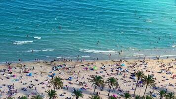 Aerial view of a beach scene with sunbathers enjoying turquoise waters and swaying palm trees in a light breeze photo