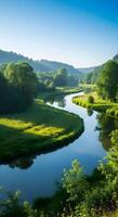 Meandering River Through Lush Green Valley on a Clear Morning photo