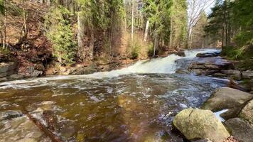 A breathtaking and stunning view of a serene river flowing gently over smooth rocks in a lush, green forest area photo