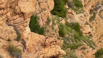 An absolutely breathtaking view of rocky cliffs juxtaposed with vibrant vegetation in a stunning natural landscape photo