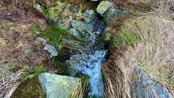 A peaceful stream flows through rocks and greenery, creating a tranquil scene for all to appreciate photo