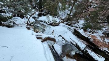 A serene and peaceful winter scene beautifully showcasing a snowcovered stream enveloped by tall trees photo