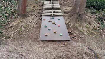 A fun climbing ramp for outdoor play with colorful grips and natural elements for an enhanced experience photo