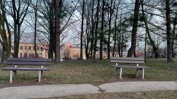 A serene park scene with two inviting benches among lush trees, ideal for unwinding after a hectic day photo