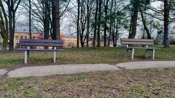 In a serene park setting, two inviting benches sit together, encouraging relaxation, contemplation, and mindfulness photo