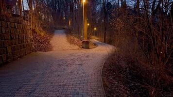 A serene and tranquil pathway, softly illuminated by street lights, winds through a wooded area at dusk photo