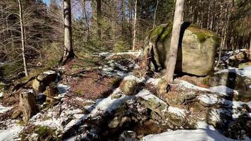 A peaceful and serene winter landscape showcasing large granite boulders accompanied by majestic pine trees photo