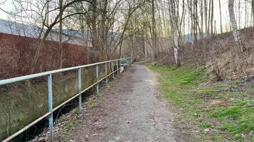 A tranquil pathway beside a river, featuring bare trees and a serene atmosphere in early evening light. photo