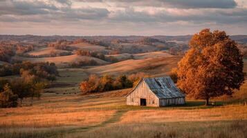 Rustic Weathered Barn in Autumn Landscape at Sunset photo
