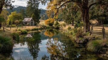 Autumn Reflection in a Rustic Pond photo