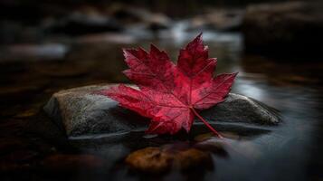 Red Maple Leaf on Rock in Autumn Stream photo