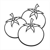Three Simple Line Drawing Tomatoes line art black and white vector