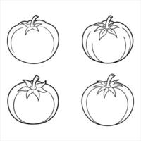 Four Line Drawing Tomatoes White Background line art vector