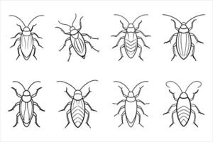 Eight Line Drawings of Cockroaches Different Body Patterns vector