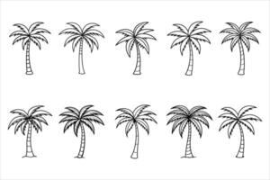 Ten Black and White Line Drawings of Palm Trees coconut palm vector