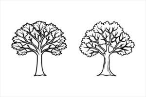 Two Black and White Line Drawings of Trees line art vector