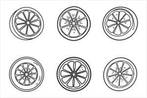 Six Line Drawings of Sliced Oranges Black and White vector
