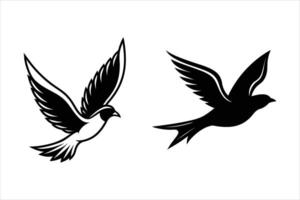 Two Black and White Birds in Flight Stylized Bird Illustrations vector