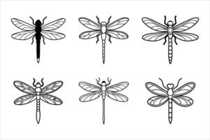 Six Black Line Drawings Dragonflies Various Styles vector
