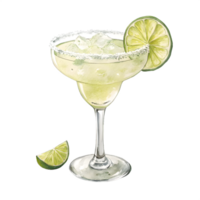 Watercolor margarita cocktail with lime isolated on transparent background png
