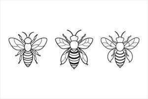 Three Black and White Bee Line Art Illustrations bees vector