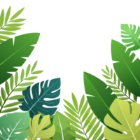 A green leafy background with a bunch of green leaves. The leaves are of different sizes and shapes png
