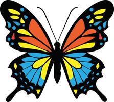 Vibrant Colorful Butterfly insect vector