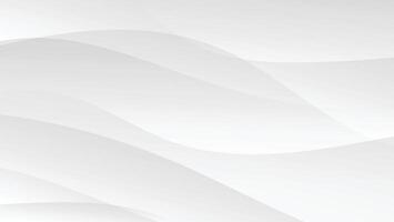 abstract white background with dynamic curve decoration vector