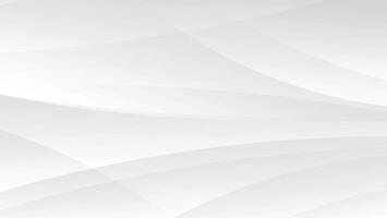 abstract white background with wavy graphic lines vector
