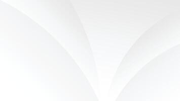 abstract white background with curve lines and creased texture decoration vector