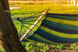 Hammock Hung Between Tree Trunks With Sunlight Filtering Through Foliage photo
