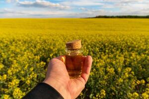 A person holding a bottle of oil in front of a field of canola photo