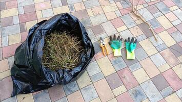 Gardening Tools and Clippings Collected in a Black Bag on a Paved Surface Area Outside photo