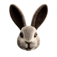 Closeup portrait of a soft grey and furry rabbit with large ears a small nose and attentive eyes creating a charming and captivating impression png