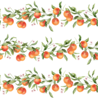 Seamless pattern with watercolor illustration of grapefruit with pink flowers. Hand painted print with grapefruit branche with green leaves on isolated. Citrus food for wrapping paper, textile design png