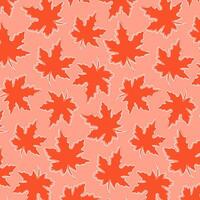 Pattern with red maple leaf. Autumn background. vector