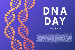 Neon helix of human DNA molecule. DNA day typography poster. Science concept illustration. Easy to edit template for banner, brochure, greeting card, flyer, etc. vector