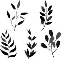 designer elements set collection of black leaves. vector