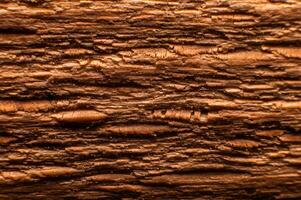 Wood structure. Cross-section of a log showing the pattern and texture created over the years photo