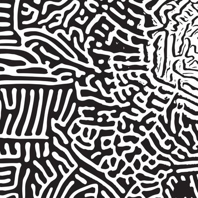 High contrast black and white abstract texture with flowing maze like lines ideal for backgrounds modern design overlays packaging prints and creative digital artwork