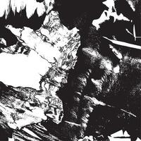 Rough abstract black and white texture with organic cracks and gritty surface details, ideal for grunge backgrounds, album art, posters, overlays, and digital compositions. vector