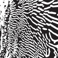 Abstract black and white line pattern background featuring dynamic flowing shapes perfect for modern designs posters digital prints wallpapers branding and creative projects vector
