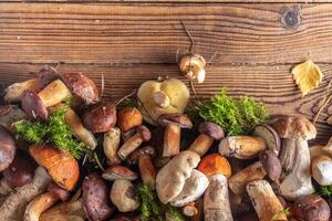 Fresh wild mushrooms different on a wooden background, top view, copy space. Forest mushrooms flat lay photo